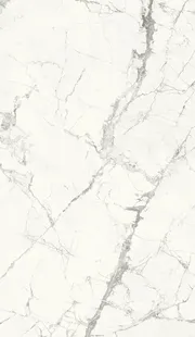 INVISIBLE WHITE