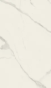 BIANCO STATUARIO VENATO