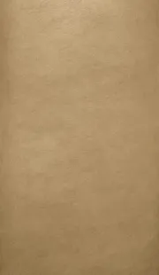 OR